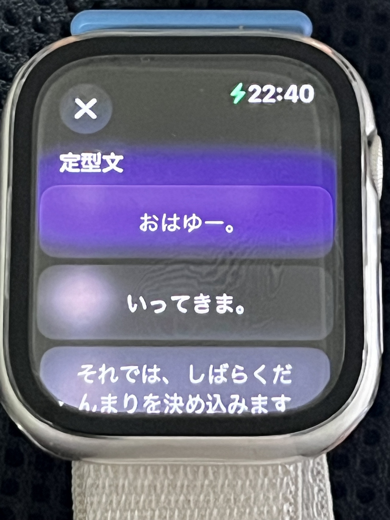 選択した定型文をBlueskyに投稿出来るようにしたApple Watch