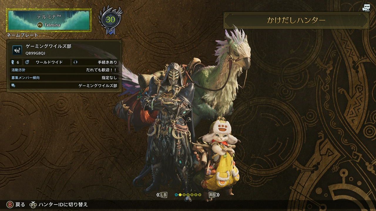 テルミナ™のステータス（モンスターハンターワイルズ・ハンターランク30）