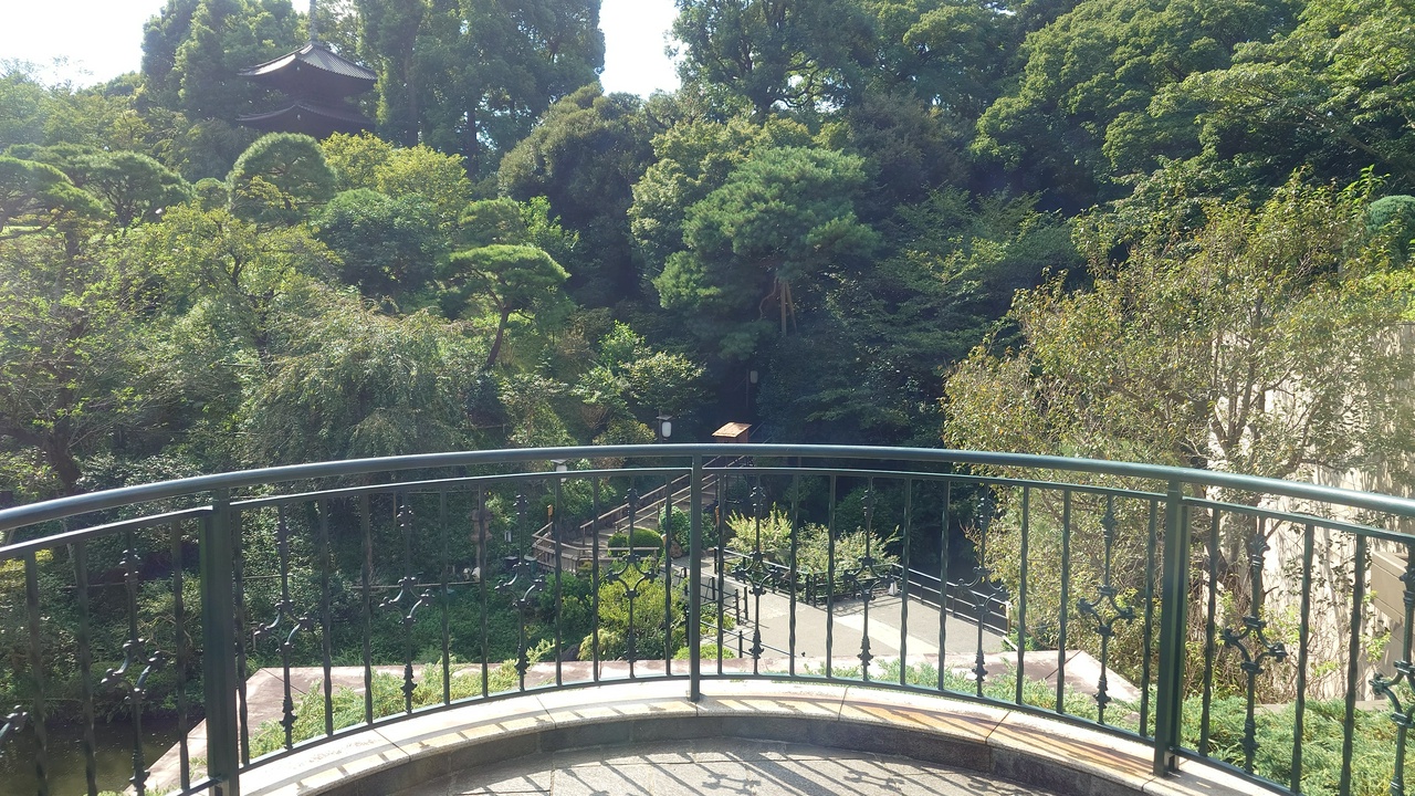 エントランス付近から庭園を一望。